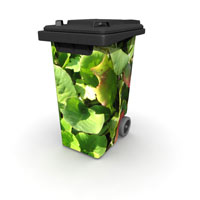 Blaetter 01