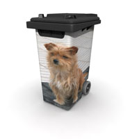 Tiere 01